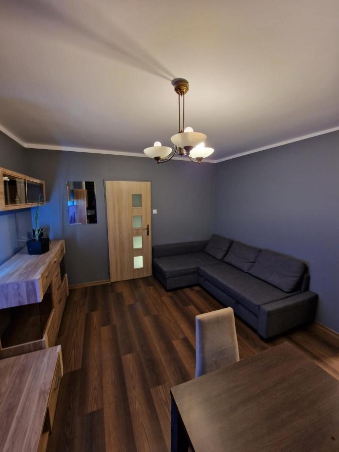 Апартаменти Luxury Aparments Klimatyzacja Z Prywatnym Parkingiem Радом Екстер'єр фото
